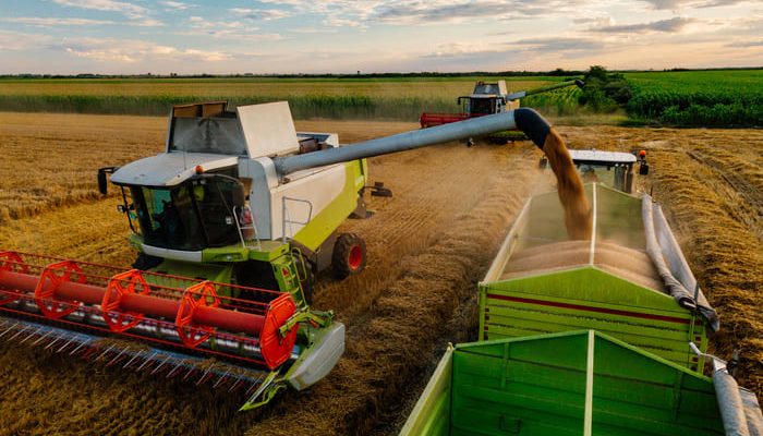 AdobeStock_212126838 Moissonneuse batteuse déposant du grain dans un camion